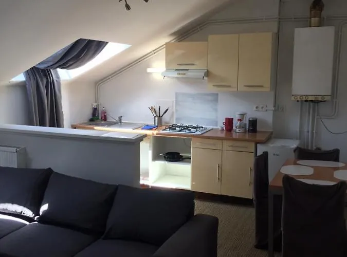 Le Victor Hugo 4 G 公寓 欧里亚克