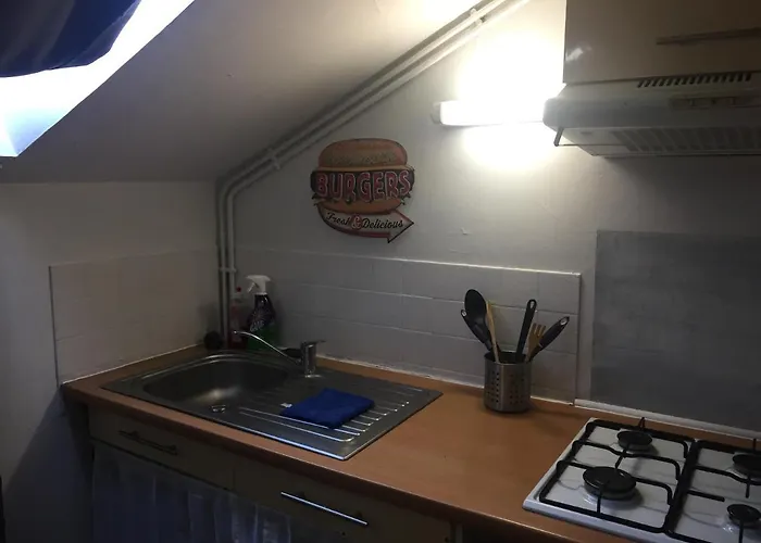 Le Victor Hugo 4 G 公寓 *